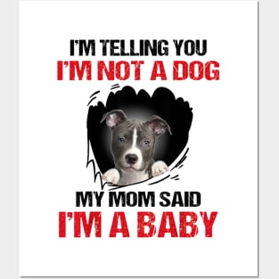 Pitbull I'm Telling You I'm Not A Dog My Mom Said I'm A Baby Posters and Art